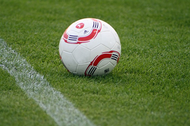 不仅是球员 不仅是球员