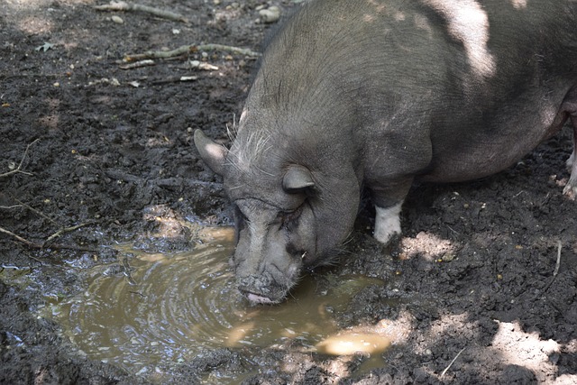 滑冰到更加 滑冰到更加