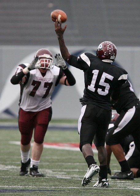 克洛普的队 克洛普的队