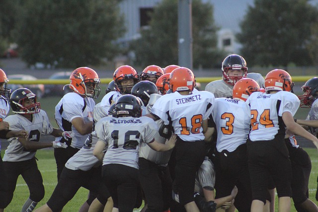 是职业生涯 是职业生涯