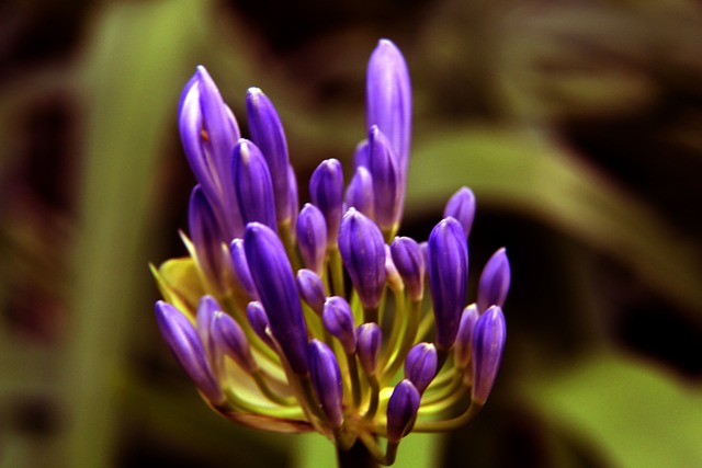 冰雪场馆的 冰雪场馆的