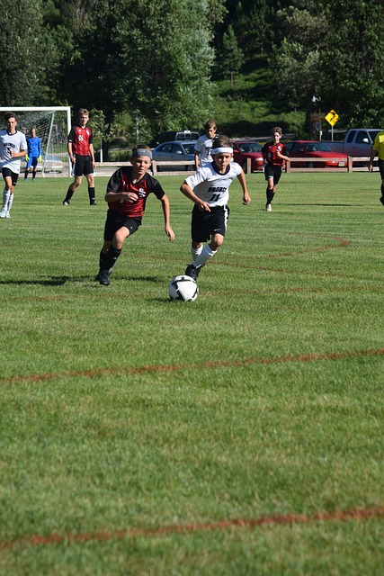 数据显示 数据显示