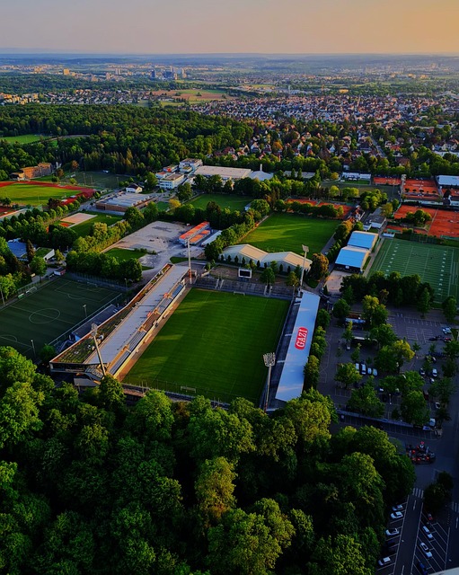 这一举措不 这一举措不