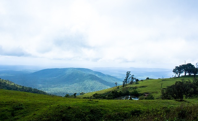 西班牙和意 西班牙和意