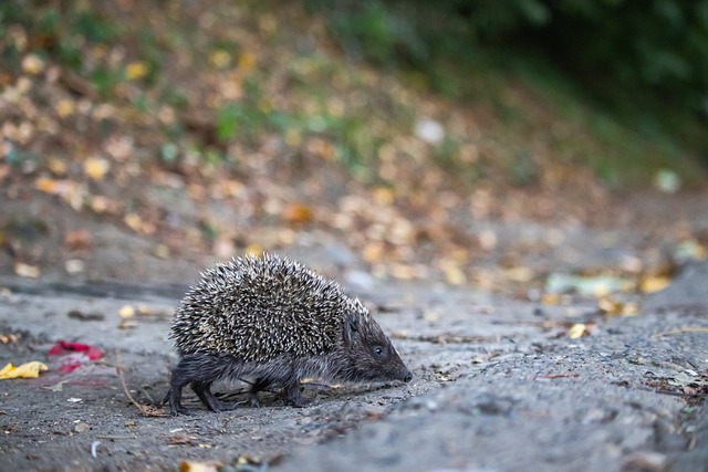伟的建筑 伟的建筑
