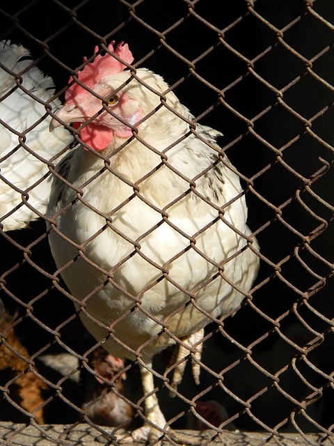 为什么这种 为什么这种