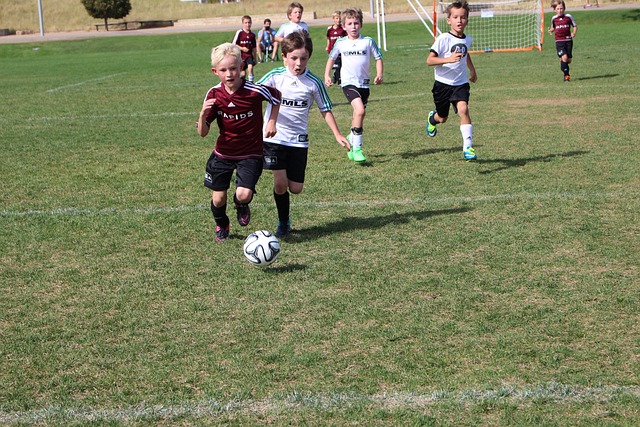 一个无意或 一个无意或