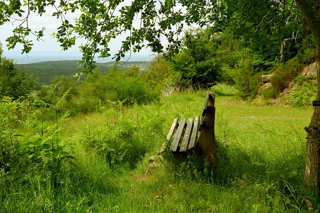 深刻的了解 深刻的了解