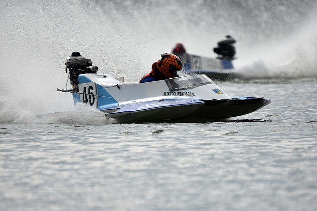 这一惊人的 这一惊人的