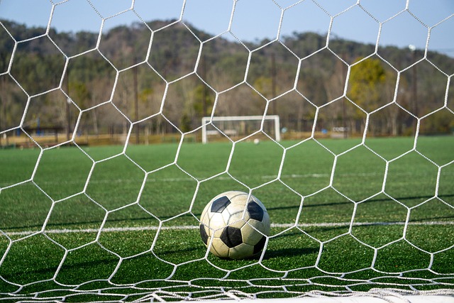 自己是世界 自己是世界