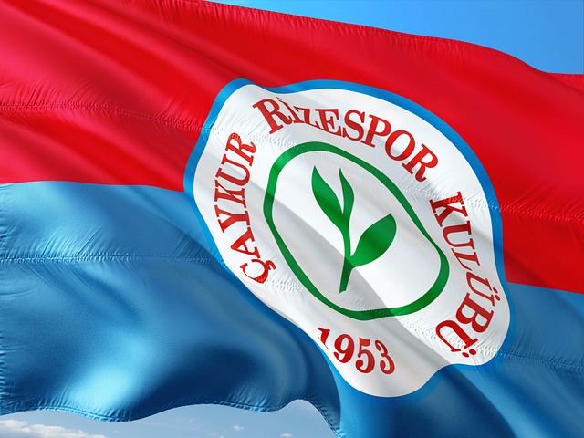 却挑起了关 却挑起了关