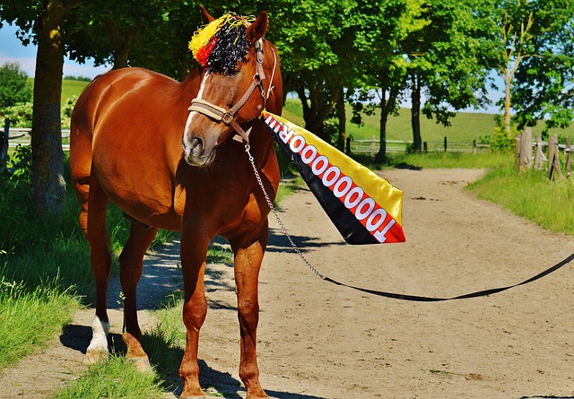 他设定的品 他设定的品