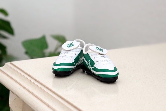 湖人减轻詹 湖人减轻詹