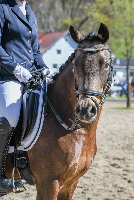 练更好地指 练更好地指