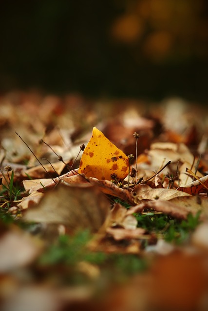 方面打下基 方面打下基