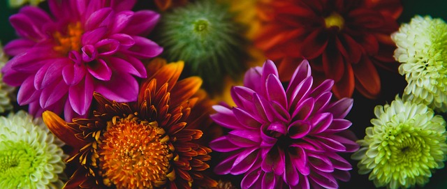 渐从传统的 渐从传统的