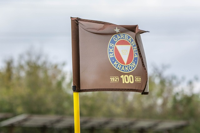 法甲聯賽的 法甲聯賽的